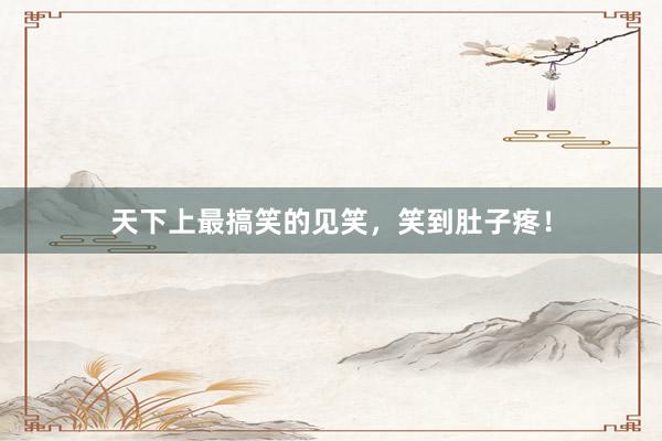 天下上最搞笑的见笑,笑到肚子疼!